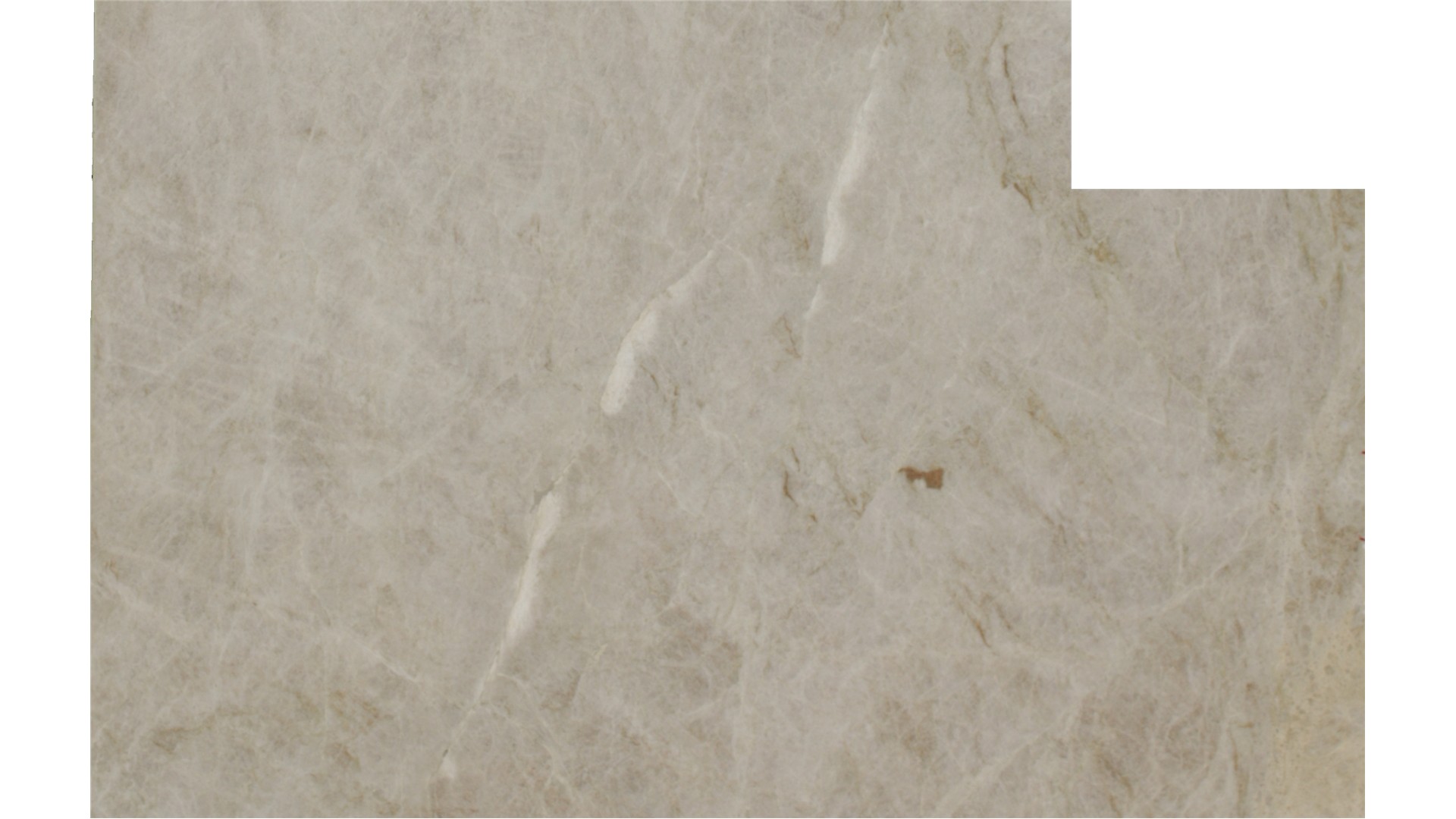 Perla Venata Quartzite Slabs