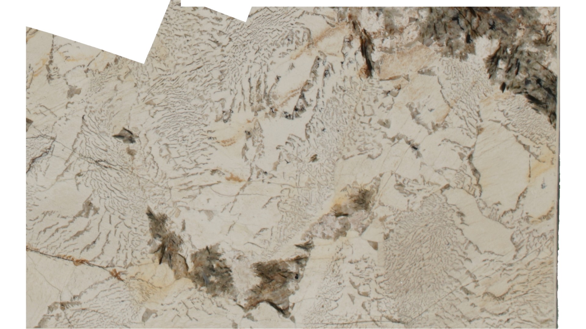 Copenhagen  Granite Slabs