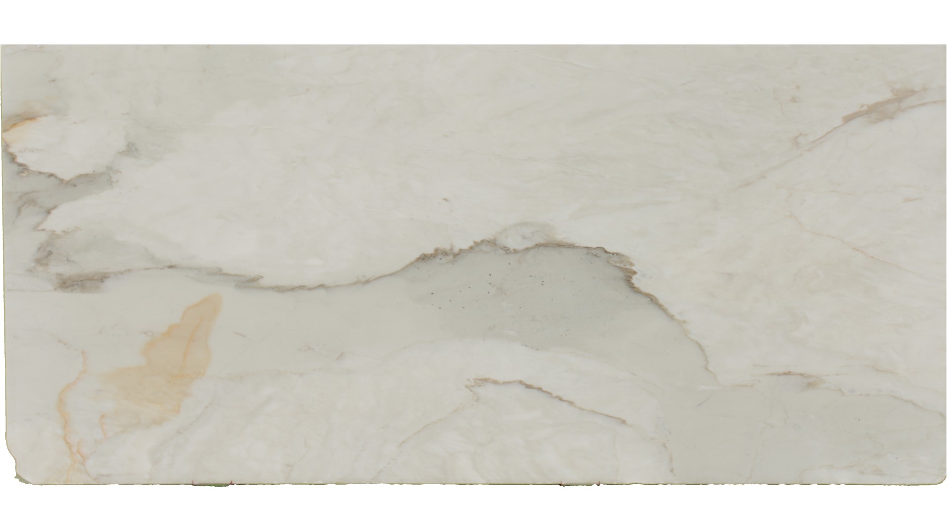 Calacatta Venice Marble Slabs