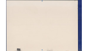 Arctic White NEOLITH