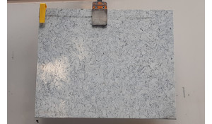 Seashell Della Terra Quartz