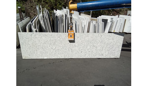 Seashell Della Terra Quartz