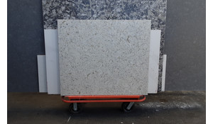 Seashell Della Terra Quartz