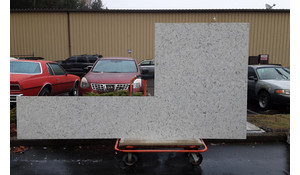 Seashell Della Terra Quartz