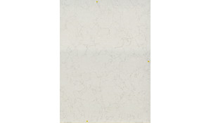 Valley White Pental Quartz