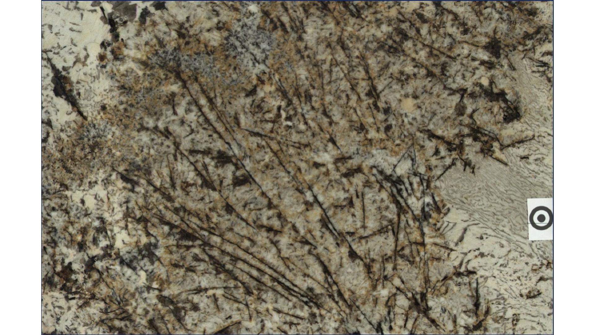 Carvelis Gold Granite Slabs