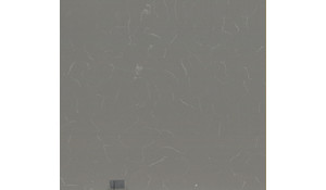 Grey Savoie Pental Quartz