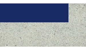 Seashell Della Terra Quartz