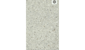 Seashell Della Terra Quartz