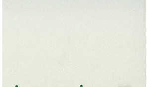 Frost White MSI Quartz