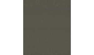 Brass Relish Silestone