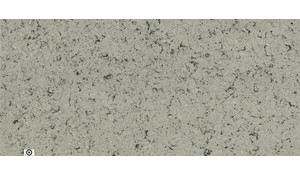 Pacific Salt MSI Quartz