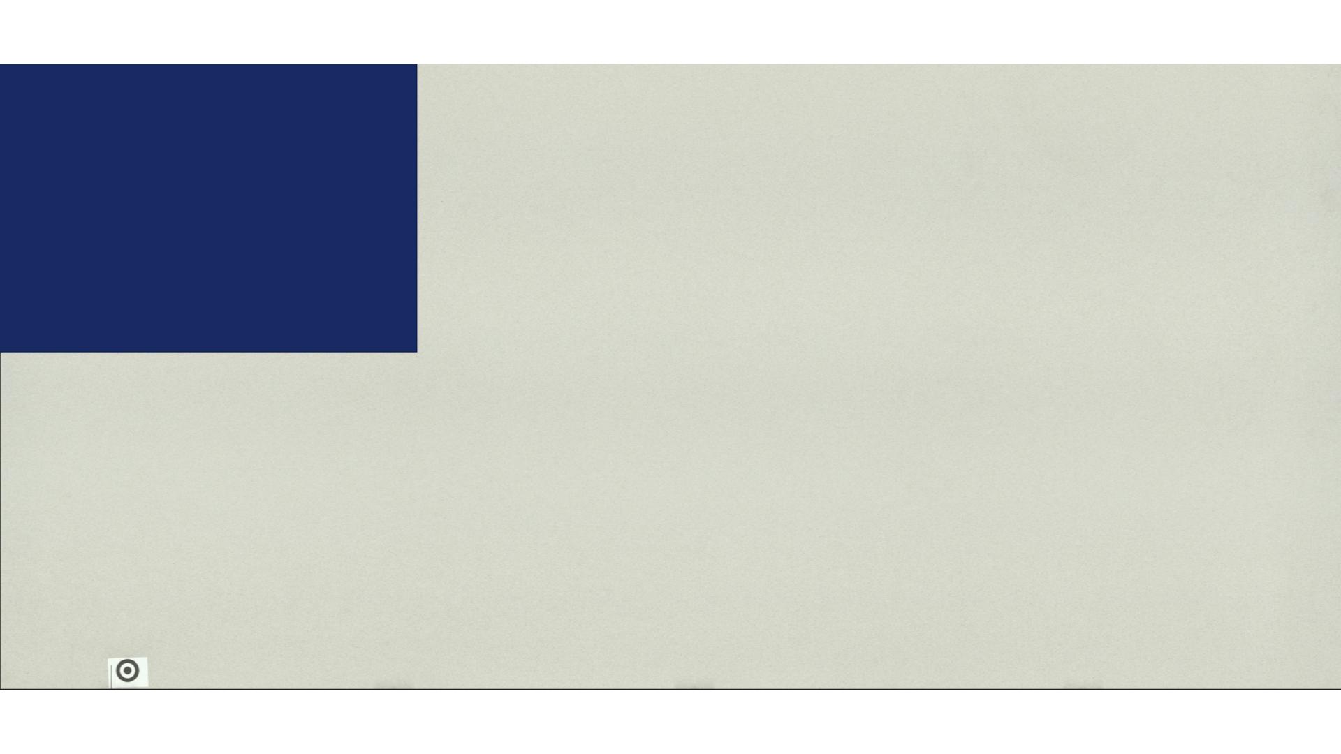 Aruca White MSI Quartz Slabs