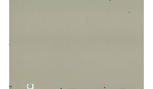 Bayshore Sand MSI Quartz