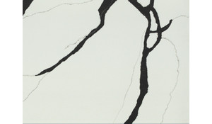 Stella Black Pental Quartz