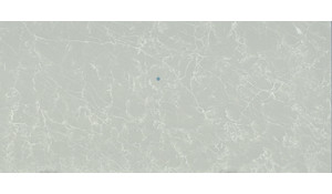 Bianco Glace LG Viatera