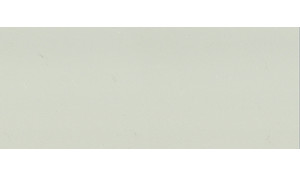 Fresh Concrete Caesarstone