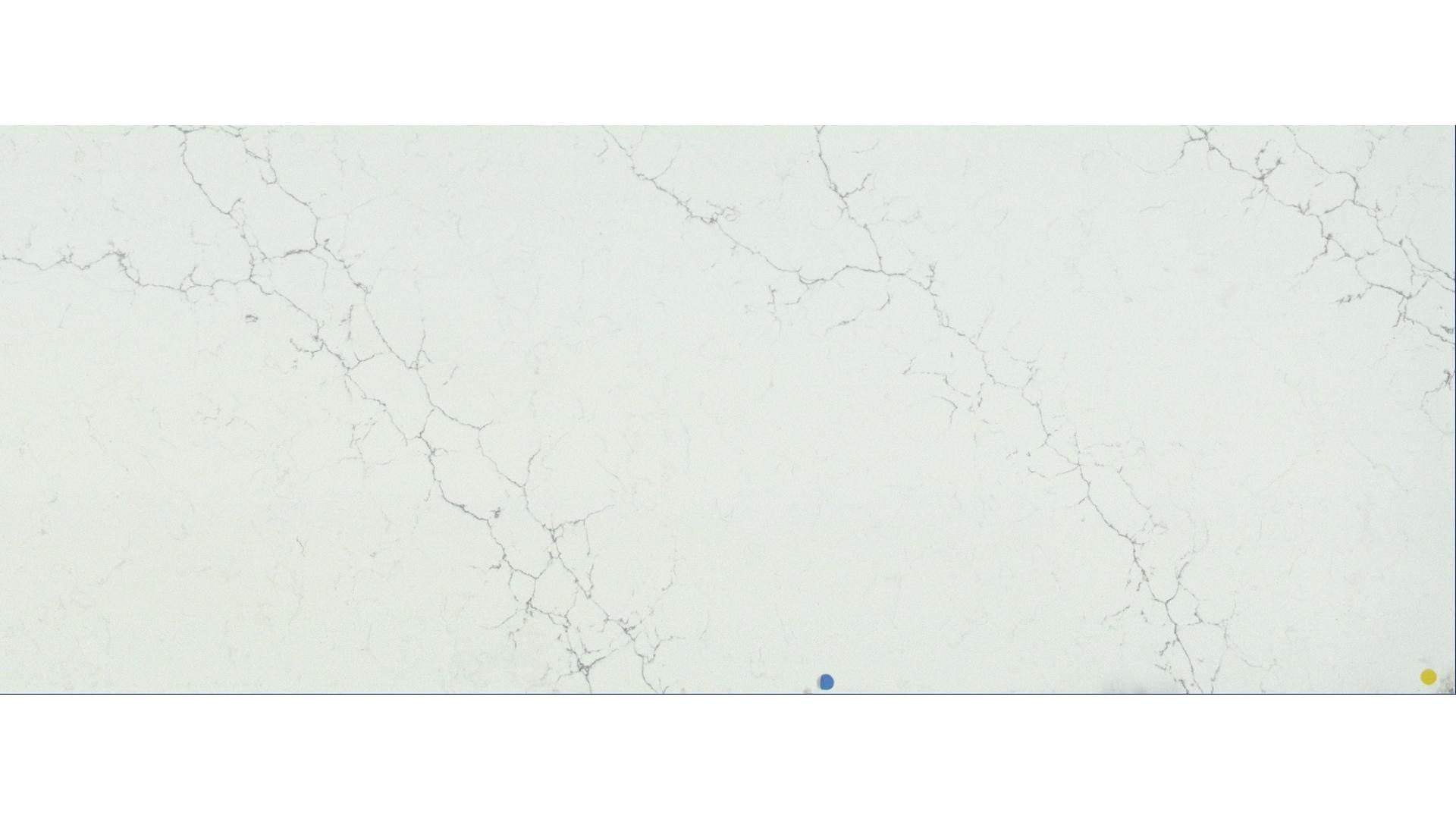 Calacatta Veritas MSI Quartz Slabs