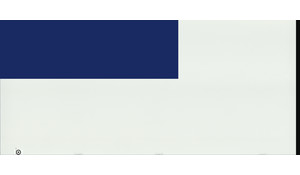 Pure White Seattle Stone Quartz