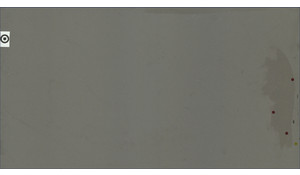 Fossil Gray MSI Quartz