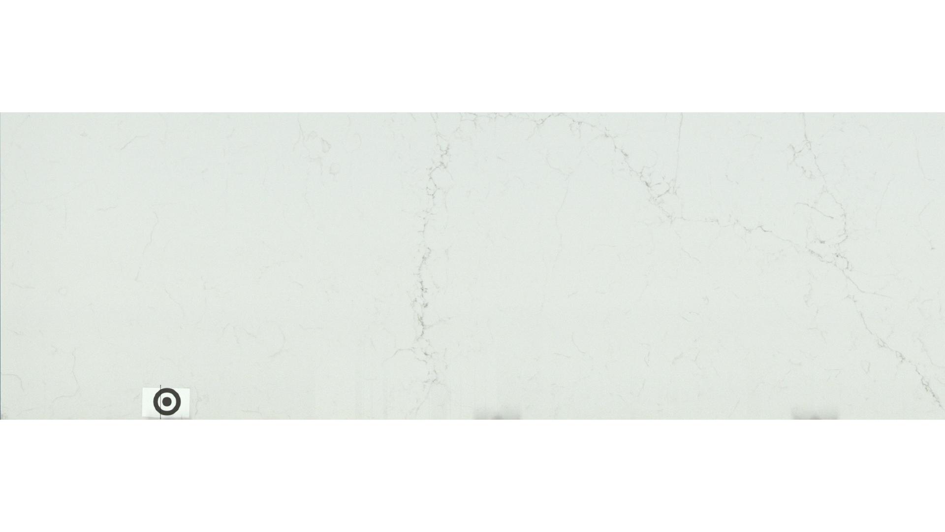 Alabaster White MSI Quartz Slabs