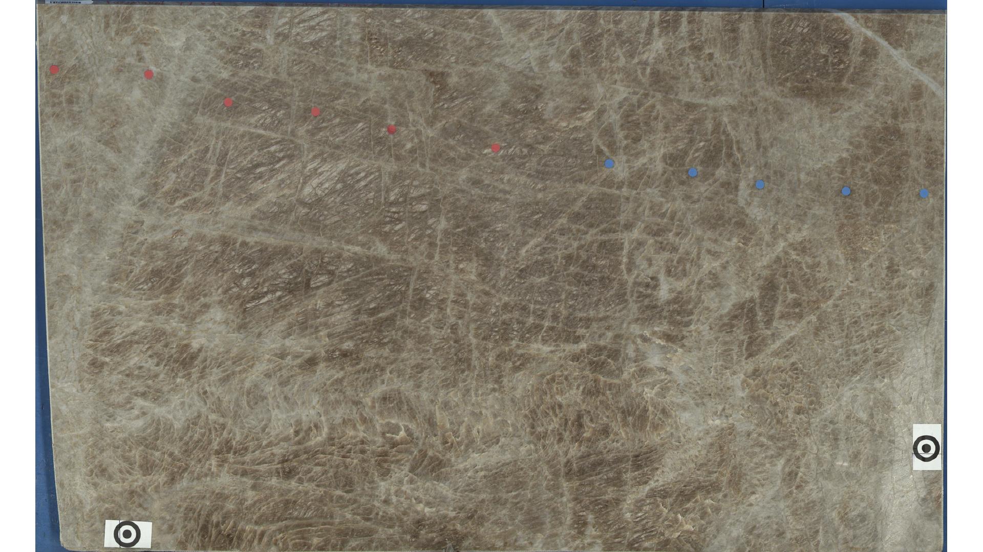 Taj Mahal Quartzite Slabs