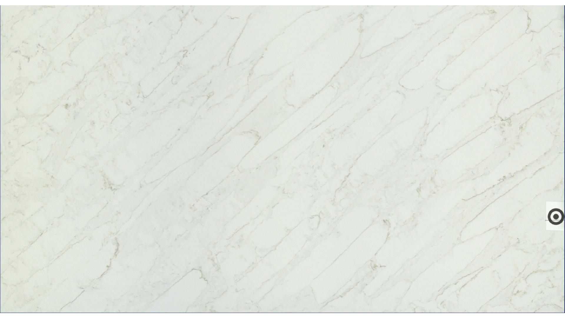 Calacatta Premata MSI Quartz Slabs