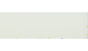 Arctic White MSI Quartz