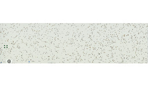 Aerial Della Terra Quartz