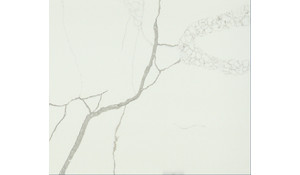 Calacatta Super Bella Stratus Quartz