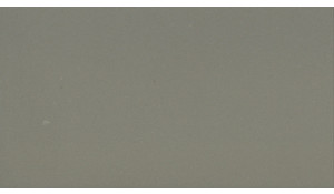 Ash Grey Daltile ONE Quartz