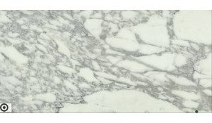 Calacatta Carrara Classic Marble