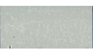 Bianco Glace LG Viatera