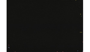 GALAXY BLACK Granite