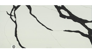 Stella Black Pental Quartz