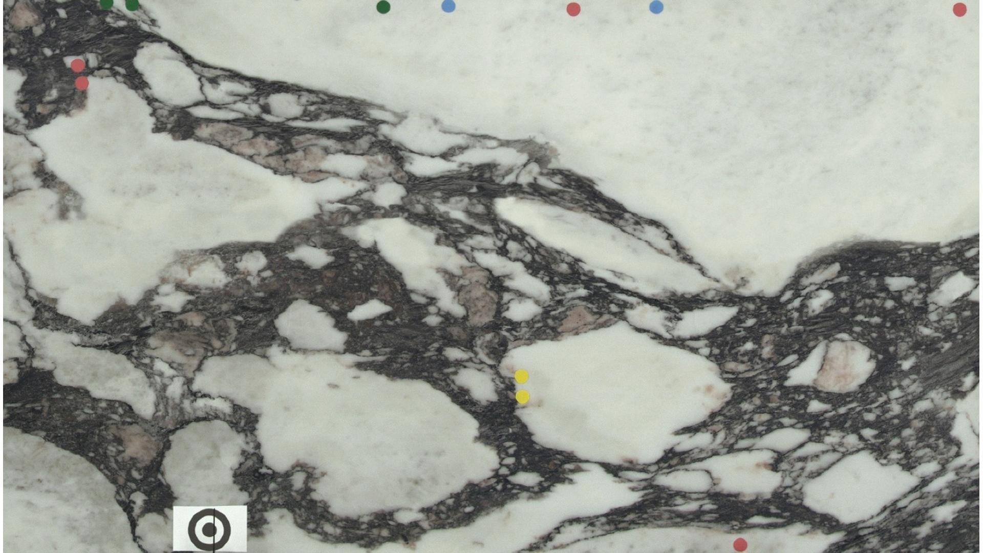 Calacatta Viola Meta Slabs