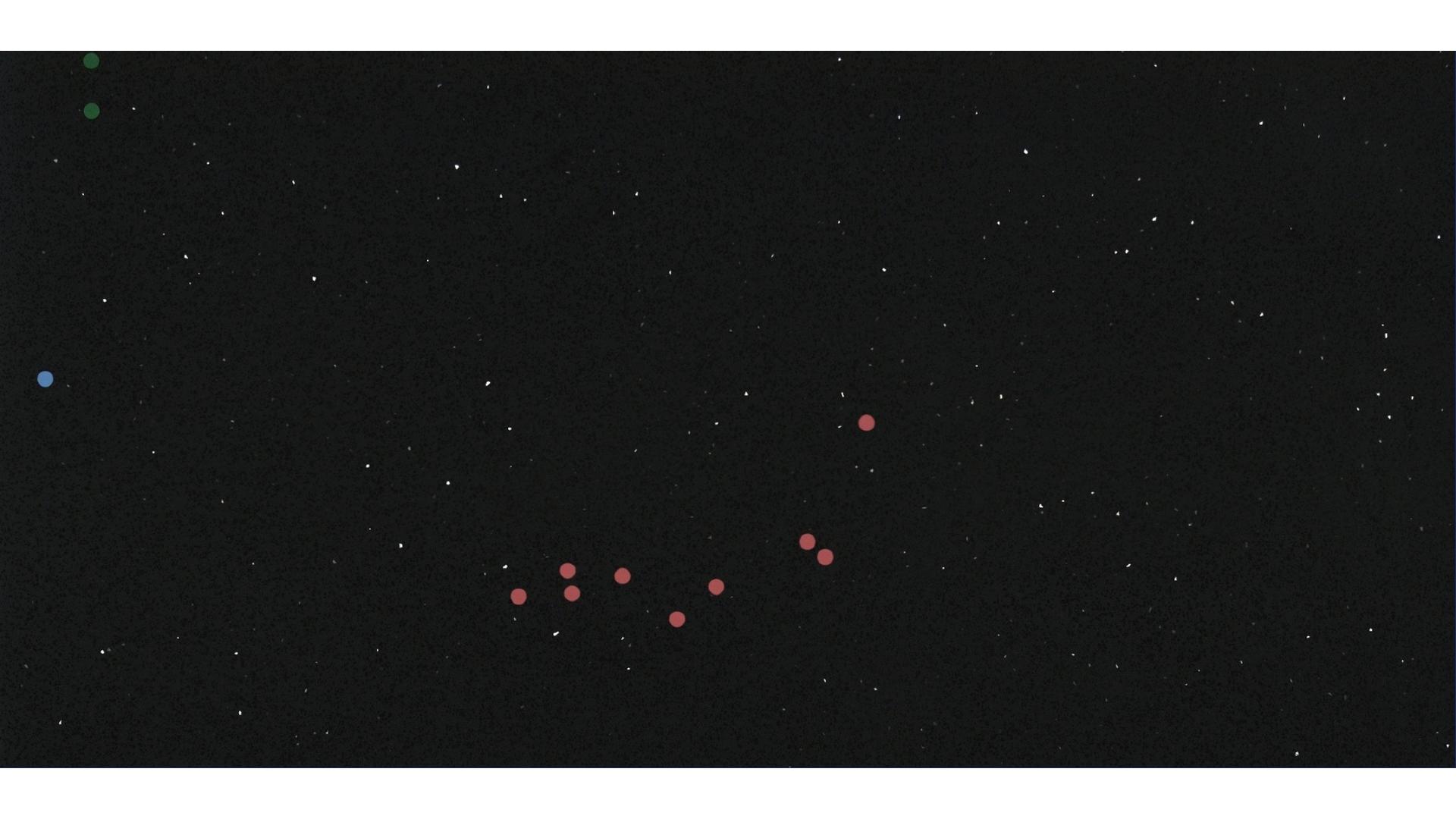 Sparkling Black MSI Quartz Slabs