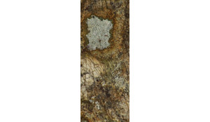 Atlas Granite