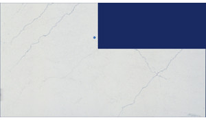 Calacatta Miraggio Cielo MSI Quartz
