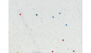 OPAL WHITE Marble