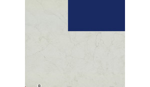 Calacatta Monaco MSI Quartz