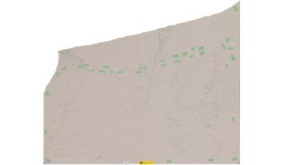 Noble Grey (5211) Quartz