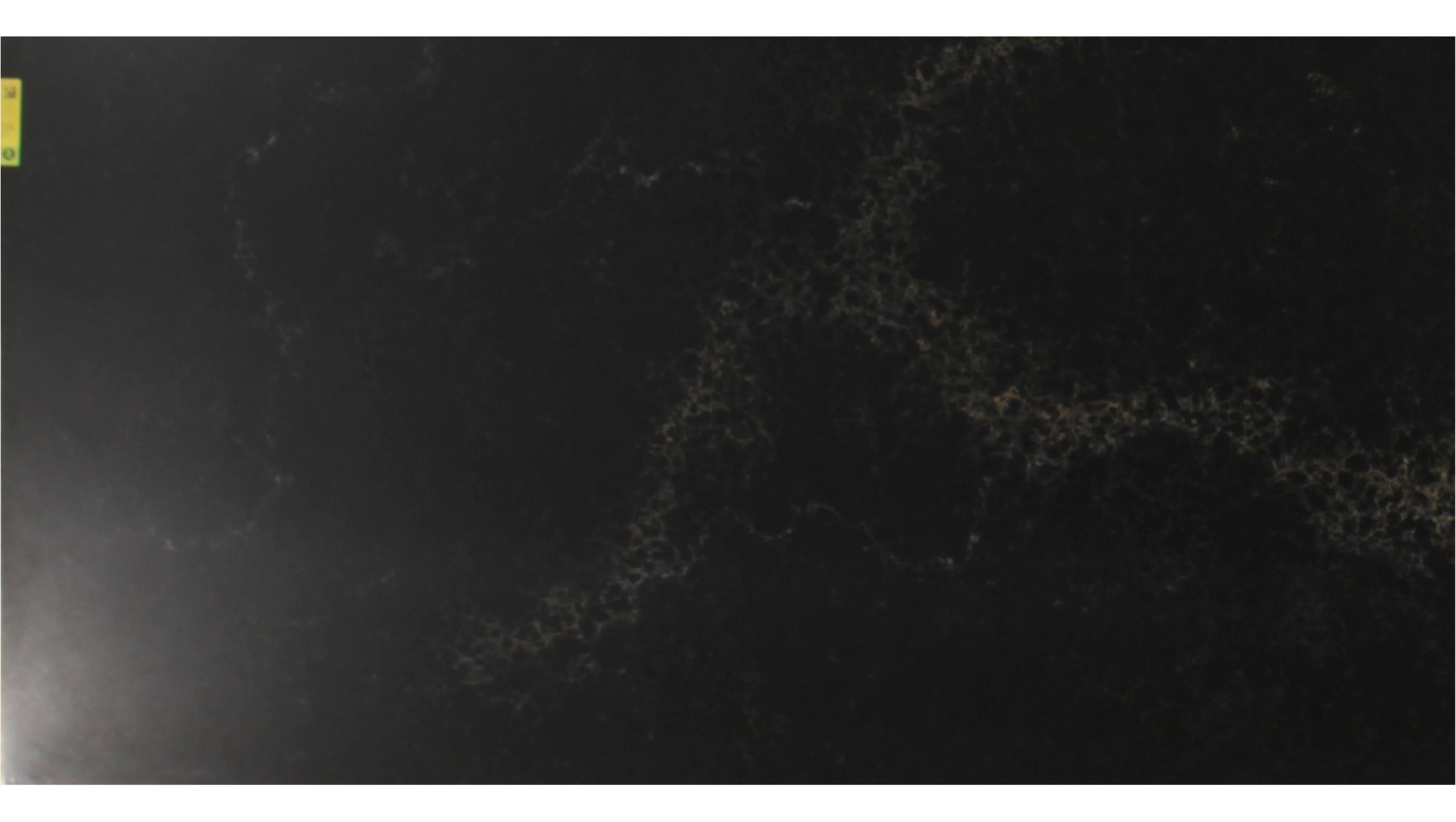 Vanilla Noir (5100) Quartz Slabs