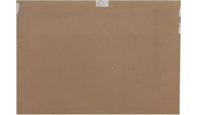 Cashmere (2370) Quartz