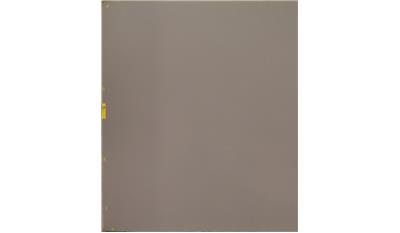 Sleek Concrete (4003cn) Quartz