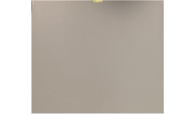 Raw Concrete (4004CN) Quartz