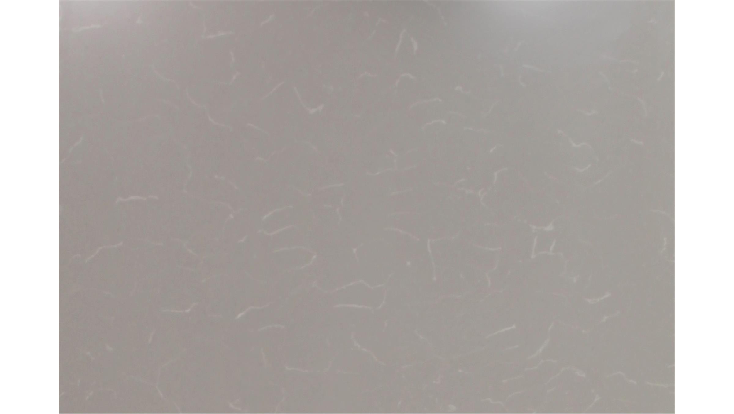 Grey Savoie Quartz Slabs