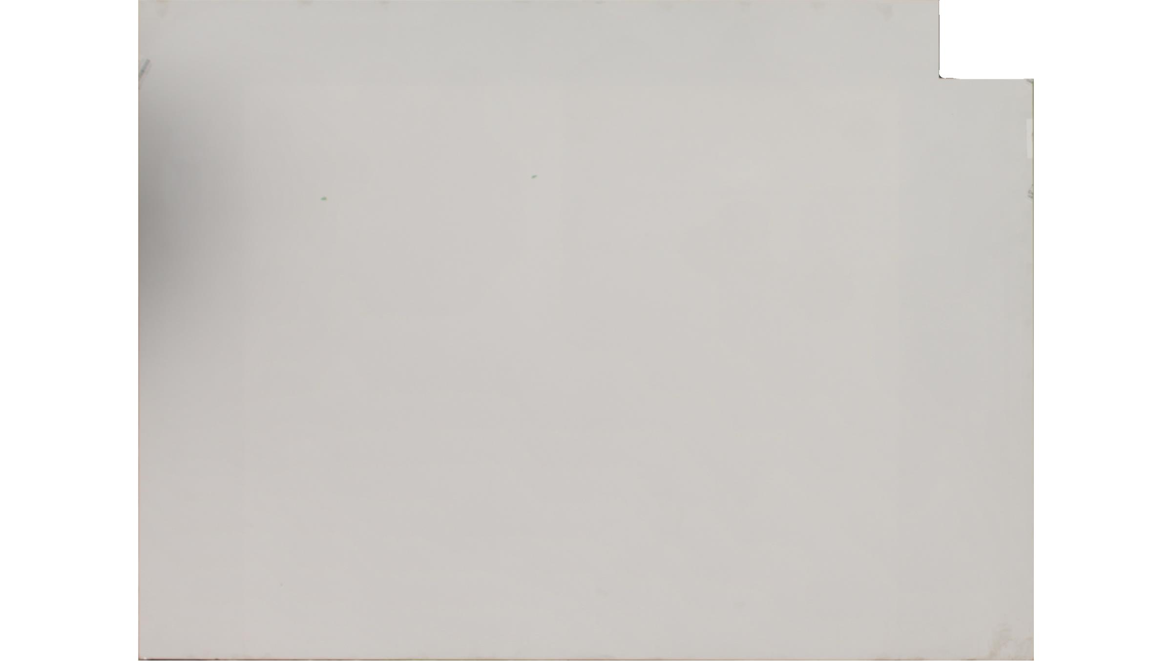 Bianco Canvas Quartz Slabs