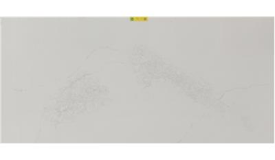 Empira White (5151) Quartz