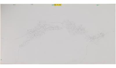 Empira White (5151) Quartz